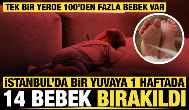 İstanbul'da 1 haftada bir yuvaya 14 bebek bırakıldı: Tek bir yerde 100'den fazla bebek var