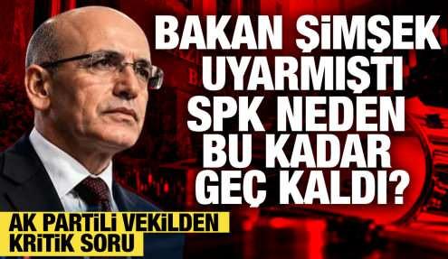 AK Partili milletvekili sordu! Mehmet Şimşek uyarmıştı, SPK neden harekete geçmedi?