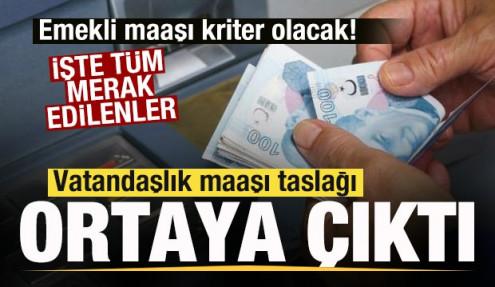 Vatandaşlık maaşı taslağı ortaya çıktı! Emekli maaşı kriter olacak!
