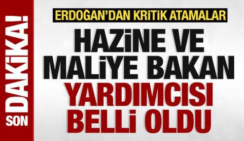 Başkan Erdoğan'dan kritik atamalar! Hazine ve Maliye Bakan Yardımcısı belli oldu