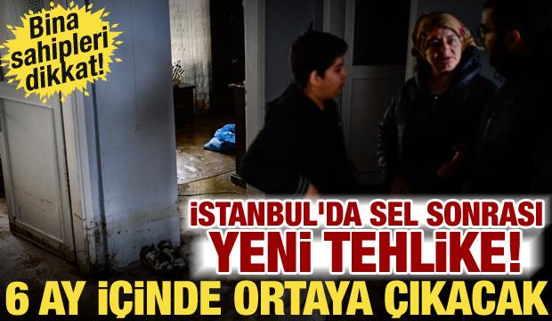 İstanbul'da sel sonrası gizli tehlike! 6 ay içinde ortaya çıkacak