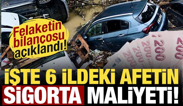 Sel felaketinin bilançosu açıklandı! İşte 6 ildeki afetin sigorta maliyeti...