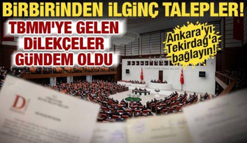 TBMM'ye yazılan ilginç talepler! 60 yaş üstüne yeşil pasaport, üniversitelere 3 yıl...