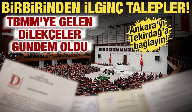 TBMM'ye yazılan ilginç talepler! 60 yaş üstüne yeşil pasaport, üniversitelere 3 yıl...