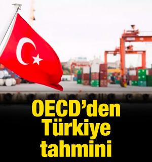 OECD'den T&uuml;rkiye tahmini