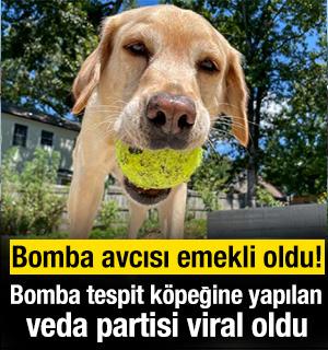 Bomba avcısı köpeğe son iş günü sürprizi! O anlar viral oldu