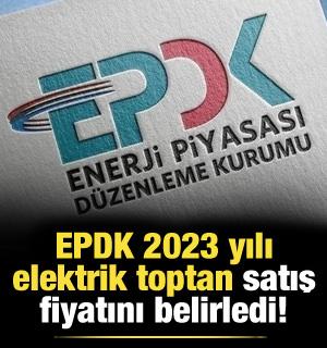 EPDK 2023 yılı elektrik toptan satış fiyatını belirledi!