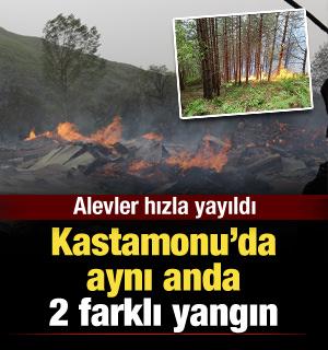 Kastamonu'da aynı anda orman ve köy yangını!