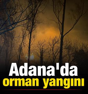 Adana'da orman yangını