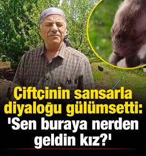 Çiftçinin sansarla diyaloğu gülümsetti: 'Sen buraya nerden geldin kız?'