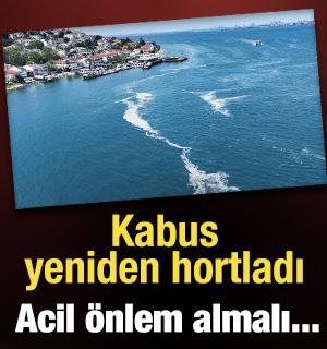 Kınalıada açıklarında yeniden müsilaj görüldü