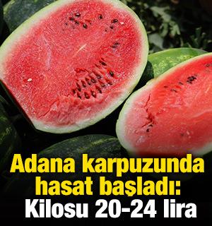 Adana karpuzunda hasat başladı: Kilosu 20-24 lira