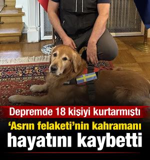 Asrın felaketinde 18 kişiyi kurtaran köpek hayatını kaybetti
