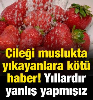 Doğru çilek yıkama yöntemiyle raf ömrünü uzatın, tadını koruyun!