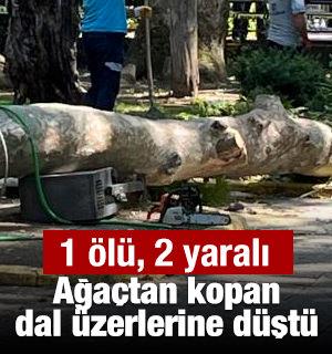 Ağaçtan kopan dal üzerlerine düştü: 1 ölü, 2 yaralı