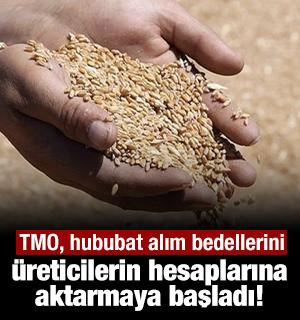 TMO, hububat alım bedellerini, üreticilerin hesaplarına aktarmaya başladı