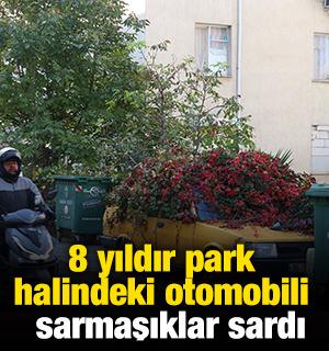 8 yıldır park halindeki otomobili sarmaşıklar sardı