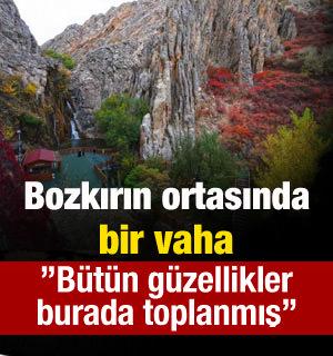 Bozkırın ortasında bir vaha: ”Bütün güzellikler burada toplanmış”