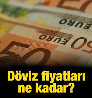 Döviz fiyatları ne kadar?
