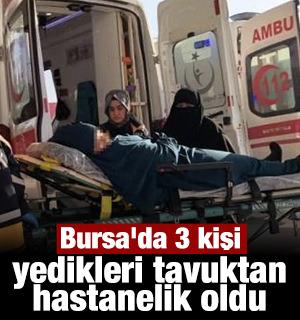 Bursa'da 3 kişi tavuktan hastanelik oldu