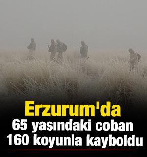 Erzurum'da 65 yaşındaki çoban 160 koyunla kayboldu