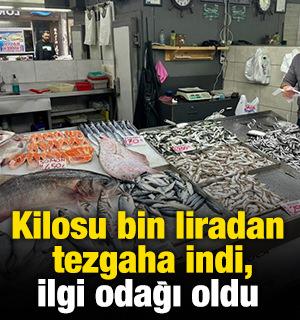 Kilosu bin liradan tezgaha indi, ilgi odağı oldu