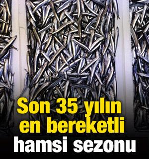 Son 35 yılın en bereketli hamsi sezonu