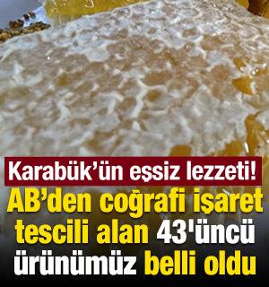 Karabük'ün meşhur lezzeti Yenice ıhlamur balı AB'den coğrafi işaret tescili aldı