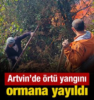 Artvin’de örtü yangını ormana yayıldı