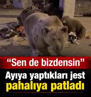 'Sen de bendensin' diyerek sucuk uzattığı ayı araca saldırdı