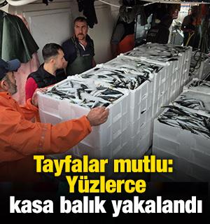 Tayfalar mutlu: Yüzlerce kasa balık yakalandı