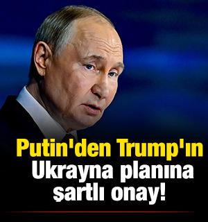 Putin'den Trump'ın  Ukrayna planına  şartlı onay! 