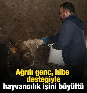 Ağrılı genç, hibe desteğiyle hayvancılık işini büyüttü