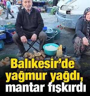 Balıkesir’de yağmur yağdı, mantar fışkırdı