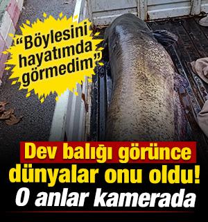 Dev balığı görünce dünyalar onu oldu! O anlar kamerada