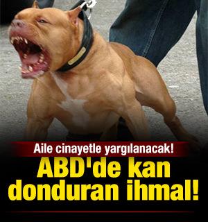  Pitbull bebeği parçaladı: Aile cinayetle yargılanacak!