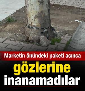  Çöp sanıp aldığı poşetten 60 bin dolar çıktı