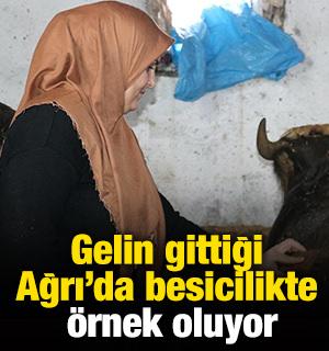 Gelin gittiği Ağrı'da besicilikte örnek oluyor