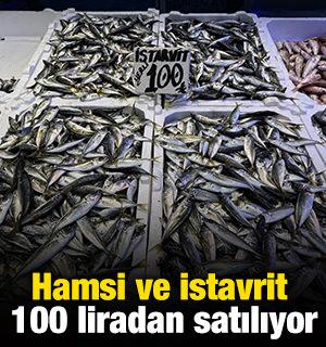 Hamsi ve istavrit 100 liradan satılıyor
