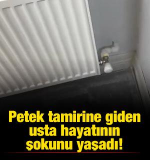 Petek tamirine giden usta hayatının şokunu yaşadı
