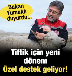 Tiftik için yeni dönem: Özel destek geliyor