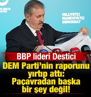 Destici, DEM Parti'nin raporunu yırtıp attı: Sevr hayallerini diriltme girişimi