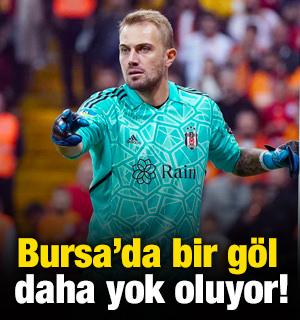 Bursa'da bir g&ouml;l daha yok oluyor!