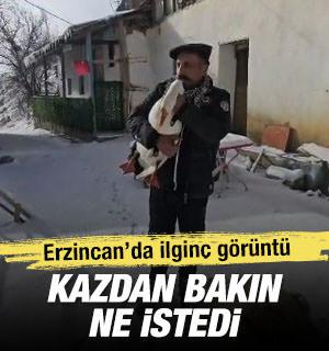 Kazdan helallik istedi: Misafir gelmiş, g&ouml;z&uuml;n&uuml; sana dikmiş
