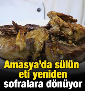 Amasya'da s&uuml;l&uuml;n eti yeniden sofralara d&ouml;n&uuml;yor