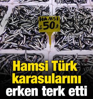 Hamsi T&uuml;rk karasularını erken terk etti