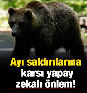 Japonya'da ayı saldırılarına karşı yapay zeka destekli takip sistemi