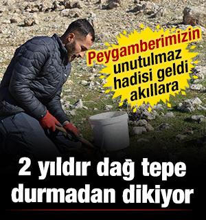 K&uuml;resel ısınmaya dikkat &ccedil;ekti! 2 yılda 20 binden fazla tohum ekip, fidan dikti