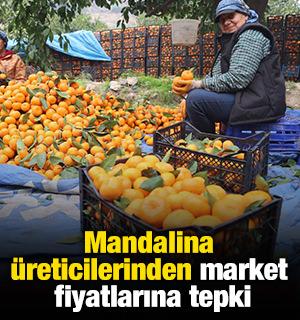 Mandalina &uuml;reticilerinden market fiyatlarına tepki