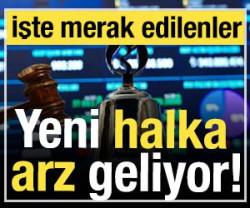 Yeni halka arz geliyor! İşte merak edilenler